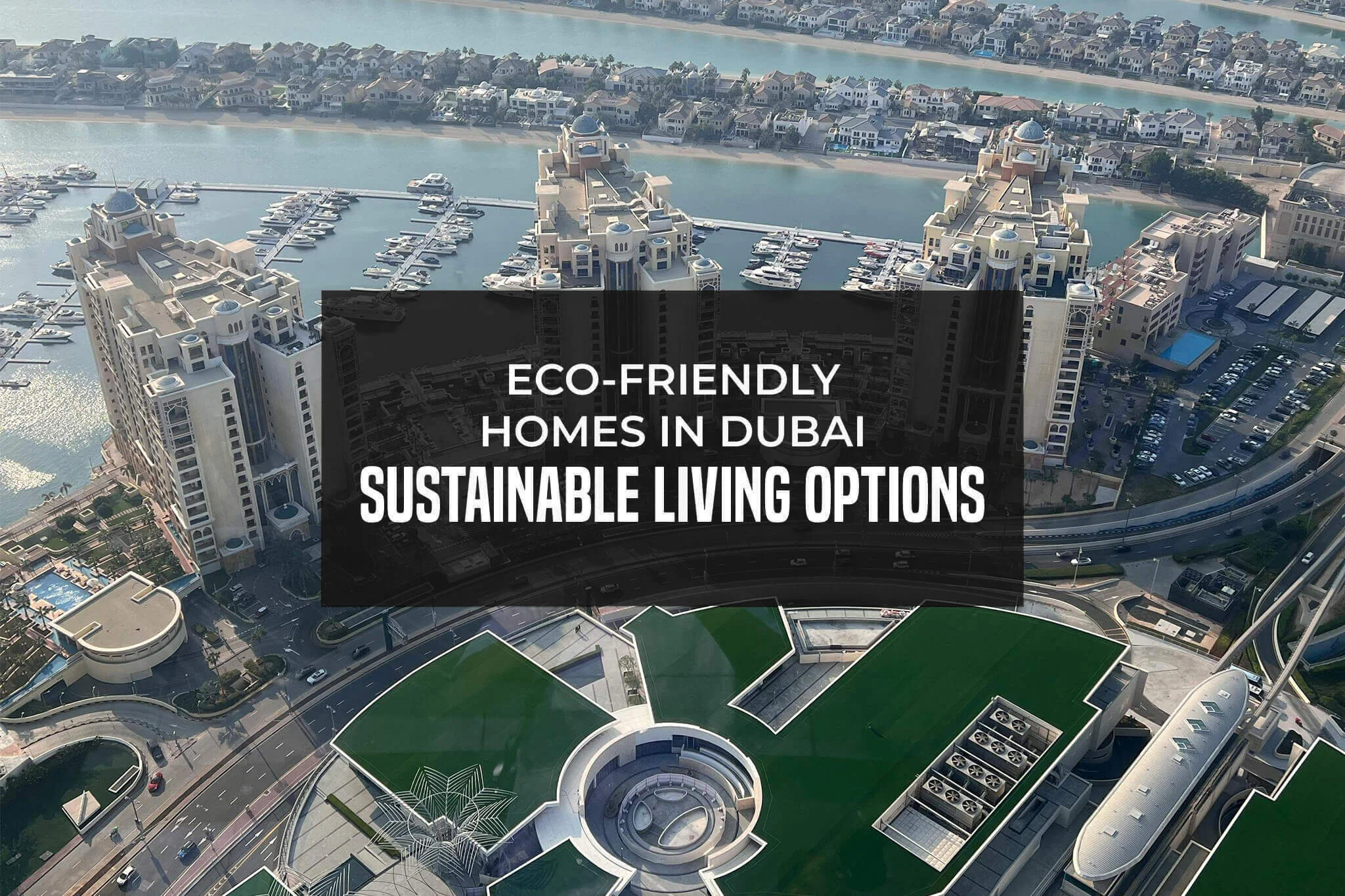 Eco-Friendly-Homes-in-Dubai-Sustainable-Living-Options-with-text-1-1